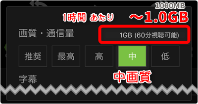 中画質は「1時間あたり~1.0GB」