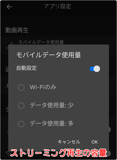 ストリーミング再生の容量