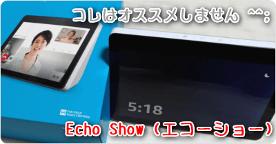 Echo Show (エコーショー)